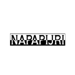 napapijri branded clothing logo