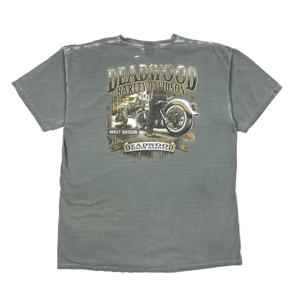 Haley-Davidson distressed style t-shirt with printed logo and back